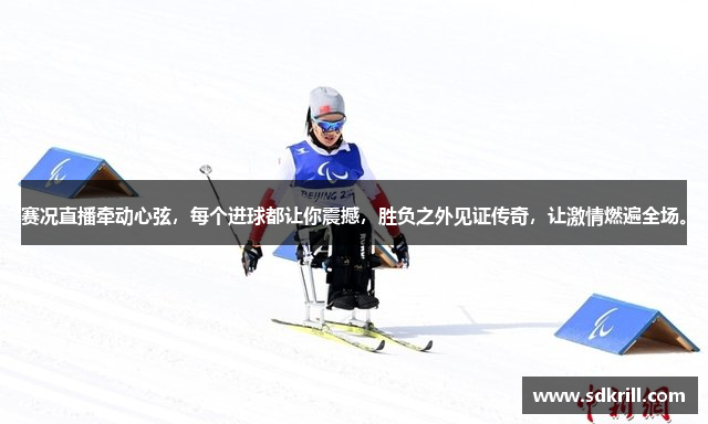 韦德国际是什么